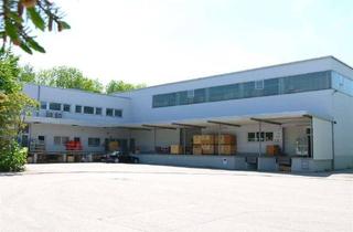 Gewerbeimmobilie mieten in Robert-Koch-Str. 3a, 82152 Planegg, Lager- und Industriehalle in Planegg/Steinkirchen / Inkl. Lagerbühne.
