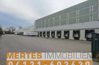 Gewerbeimmobilie mieten in 23843 Bad Oldesloe, Halle EG und OG mit Lastenaufzug
