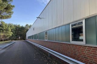 Büro zu mieten in 21337 Lüneburg, Hallen- und Büroflächen in Lüneburg zu vermieten