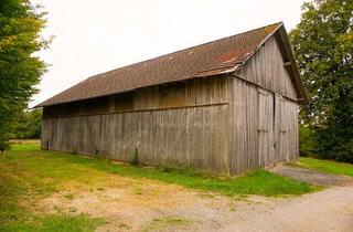 Grundstück zu kaufen in 96142 Hollfeld, Vielseitig nutzbare Feldscheune auf ca. 3000 m² Grund zwischen Hollfeld und Drosendorf