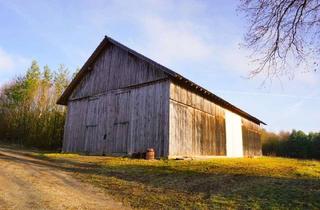 Grundstück zu kaufen in 96142 Hollfeld, Vielseitig nutzbare Feldscheune auf ca. 3000 m² Grund zwischen Hollfeld und Drosendorf