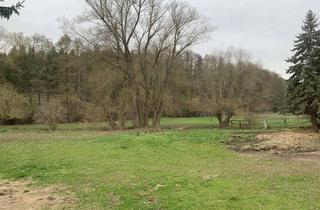 Grundstück zu kaufen in Deistraße An der Leine, 06543 Stangerode, Baugrundstück