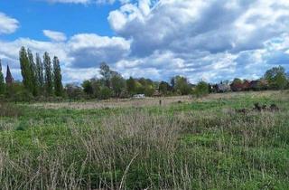 Grundstück zu kaufen in 19243 Wittenburg, 1,2 ha Wohnbaugrundstück (unerschl.) mit B-Plan 27 in Wittenburg EFH/DH.