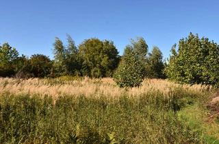 Grundstück zu kaufen in 38104 Volkmarode, Einzigartiges Baugrundstück in bester Lage von Schapen!