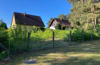 Grundstück zu kaufen in 15711 Königs Wusterhausen, Attraktives Grundstück mit Bebauungspotential in der begehrten Steinbergsiedlung in Zeesen