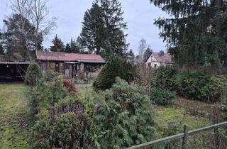 Grundstück zu kaufen in 16515 Oranienburg, ** Traumhaftes Grundstück in Oranienburg Süd **