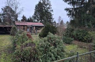 Grundstück zu kaufen in 16515 Oranienburg, ** Traumhaftes Grundstück in Oranienburg Süd **