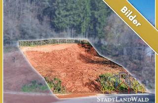 Grundstück zu kaufen in 76857 Münchweiler, Natur. Aussicht. Möglichkeiten. – Baugenehmigter Südhangplatz am Waldrand