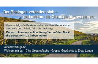 Immobilie kaufen in 65183 Wiesbaden, Rheingauer Weingut - Substanz & hoher Gewinn