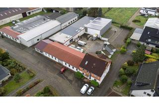 Immobilie kaufen in 27243 Harpstedt, Attraktive Investmentmöglichkeit: Wohn- und Gewerbeflächen in Harpstedt