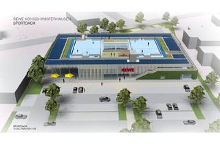 Immobilie mieten in 15711 Königs Wusterhausen, Vermietung einer Dachfläche für Sport und vielseitige Nutzung