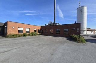 Lager kaufen in 33397 Rietberg, Gewerbeareal mit Entwicklungspotenzial! Gewerbehalle mit Büro in Rietberg-Mastholte
