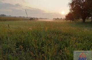 Gewerbeimmobilie kaufen in 91438 Bad Windsheim, Wiese mit ca. 1,7 ha Größe!