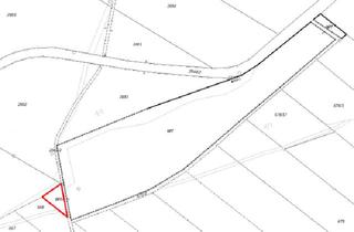 Gewerbeimmobilie kaufen in 86925 Fuchstal, Waldfläche zu verkaufen