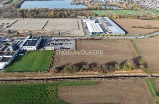 Gewerbeimmobilie kaufen in 76669 Bad Schönborn, ENTWICKLER AUFGEPASST: UNBEBAUTES INDUSTRIEGRUNDSTÜCK NAHE DER A5