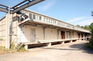 Geschäftslokal mieten in 02994 Bernsdorf, Lagerhalle als Teilanmietung ab 100 m²