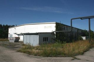 Geschäftslokal mieten in 02994 Bernsdorf, Lagerhalle auch teilweise zu mieten