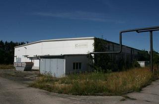 Geschäftslokal mieten in 02994 Bernsdorf, Produktionshalle als Teilanmietung ab 100 m²
