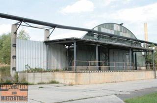 Geschäftslokal mieten in 02994 Bernsdorf, Da stimmt der Preis.