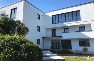 Penthouse mieten in Harburger Str., 94405 Landau, Exklusives Penthouse mit 3 Zimmern und Balkon in Landau an der Isar