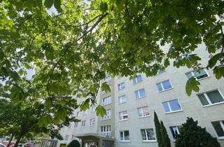 Wohnung mieten in Erzbergerstr. 17, 39104 Altstadt, Attraktive 1-Zimmer-Wohnung in Magdeburg