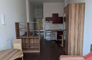 Wohnung mieten in An Der Weberei, 96049 Bamberg, Exklusives 1-Zimmer-Appartement auf der Erba Insel