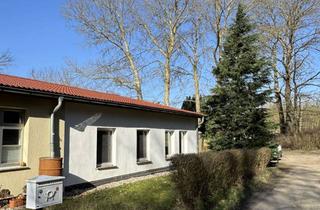 Wohnung mieten in 18569 Gingst, Ruhige 4-Zimmer-EG-Wohnung