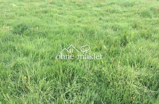 Grundstück zu kaufen in 04347 Leipzig, Attraktives 7.600-m²-Gewerbegrundstück in Leipzig-Heiterblick - provisionsfrei im Share Deal