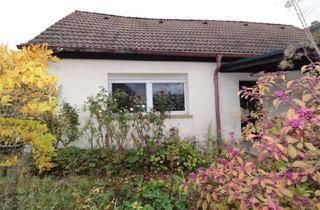 Haus kaufen in 04668 Parthenstein, Sanierungsbedürftiges Wohnhaus mit Ausbaupotential in Großsteinberg