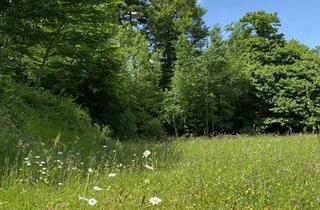 Haus kaufen in 09221 Neukirchen, LASSEN SIE SICH MORGENS VOM VOGELGEZWITSCHER WECKEN - IM NEUEN HAUS AM WALD! TEL. 01714863595