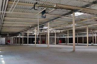 Büro zu mieten in 08451 Crimmitschau, Flexible Multi-User-Halle mit Bürofläche gestaltbar nach individuellem Bedarf nahe der A4!