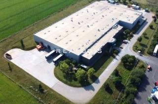 Gewerbeimmobilie mieten in 39171 Sülzetal, Sülzetal | 8.700 m² Produktions- und Lagerfläche | Rampe und ebenerdig