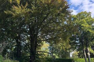 Grundstück zu kaufen in 50996 Hahnwald, 2.000 m² Grundstück für 2 Stadtvillen - teilbar