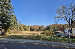 Grundstück zu kaufen in 15518 Briesen, Platz für eine gute Investition - Eigenes Zuhause oder Anlageobjekt