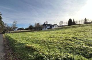 Grundstück zu kaufen in 57610 Altenkirchen, Im Grünen träumen!