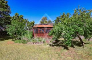 Grundstück zu kaufen in 16356 Werneuchen, Baugrundstück ca. 469 m² in Werneuchen - straßenseitig erschlossen!