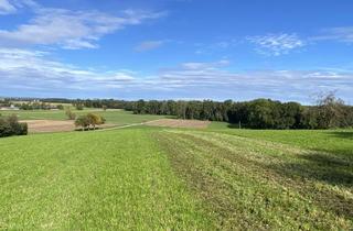 Grundstück zu kaufen in 89233 Neu-Ulm, Einzigartiges Baugrundstück mit Wiese in Neu-Ulm/Holzschwang