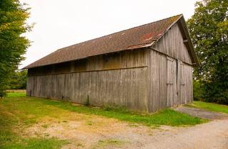 Lager kaufen in 96142 Hollfeld, Vielseitig nutzbare Feldscheune auf ca. 3000 m² Grund in zwischen Hollfeld und Drosendorf