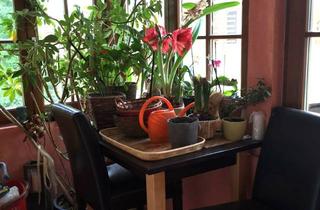 Haus kaufen in 71711 Steinheim, Charmantes, hochwertig saniertes Zweifamilienhaus mit vielseitigen Nutzungsmöglichkeiten.