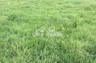 Immobilie kaufen in 04347 Leipzig, Attraktives 7.600-m²-Gewerbegrundstück in Leipzig-Heiterblick – provisionsfrei im Share Deal