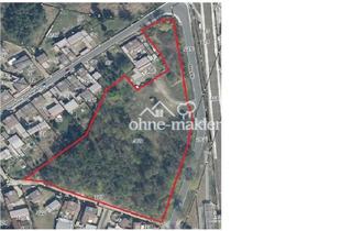 Immobilie kaufen in Neuhofer Dorfstraße 1a, 15806 Zossen, 15.000 m² Grundstück teilbar – Ruhige Lage, Top-Anbindung Berlin, flexibel bebaubar