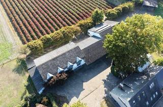 Haus kaufen in 49419 Wagenfeld, Wagenfeld - Multifunktionale Immobilie: Arbeiten, Lagern, Vermieten