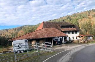 Bauernhaus kaufen in 77933 Lahr, Lahr (Schwarzwald) - Bauernhof ideal für Pferdehaltung