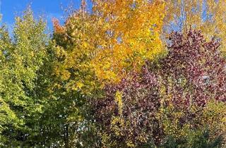 Wohnung kaufen in 91639 Wolframs-Eschenbach, Wolframs-Eschenbach - Eigentumswohnung Wolframs-Eschenbach