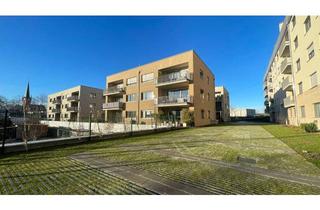 Wohnung mieten in Friedensstraße 41f, 01097 Leipziger Vorstadt, Neubau-2-Raumwohnung in Dresden Pirnaische Vorstadt - Wentzel Dr. -