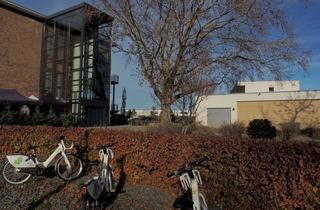 Wohnung mieten in Geierstraße, 53881 Euskirchen, 2-Zimmer Nichtraucherwohnung mit sonnigem Balkon und moderner Einbauküche