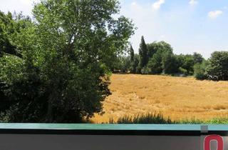 Wohnung mieten in 68519 Viernheim, Ideales Single-Appartement direkt am Feldrand - Frei ab 01.01.2026