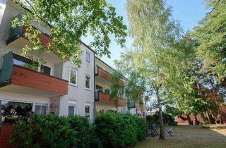 Wohnung mieten in Trift 15, 21502 Geesthacht, Zum Einzug bereit: Schöne 1-Zimmer-Single-Wohnung mit Balkon