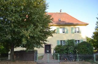 Wohnung mieten in Weinbergstraße, 04651 Bad Lausick, Sanierte Wohnung in sehr schöner Lage