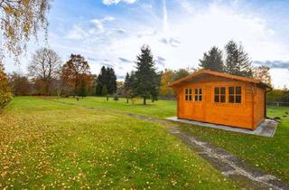 Haus kaufen in 38259 Ringelheim, Großes 1-2-Familienhaus mit Wellnessbereich, Südterrasse und großem Garten mit Pool!